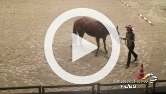 Play video